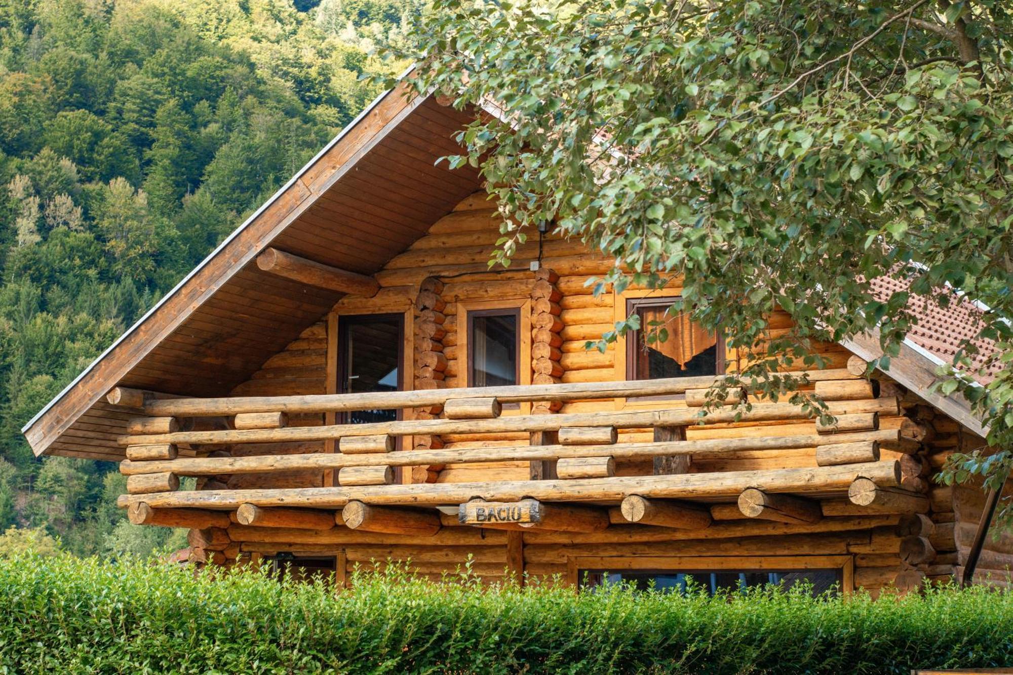 Resort 7 Crai - Cabana Baciu Zarnesti Exterior photo
